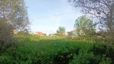 Terreno situado em tojal, porto de mós