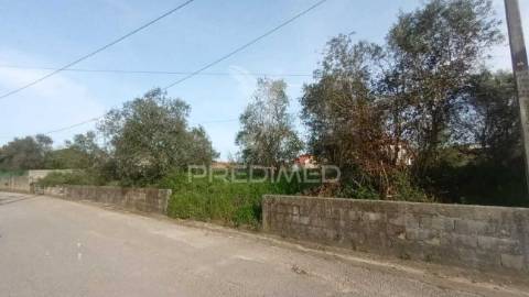 Terreno situado em tojal, porto de mós