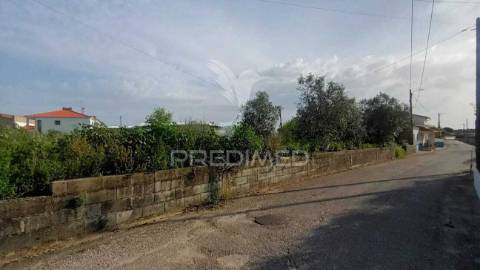 Terreno situado em tojal, porto de mós