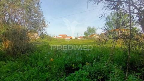 Terreno situado em tojal, porto de mós