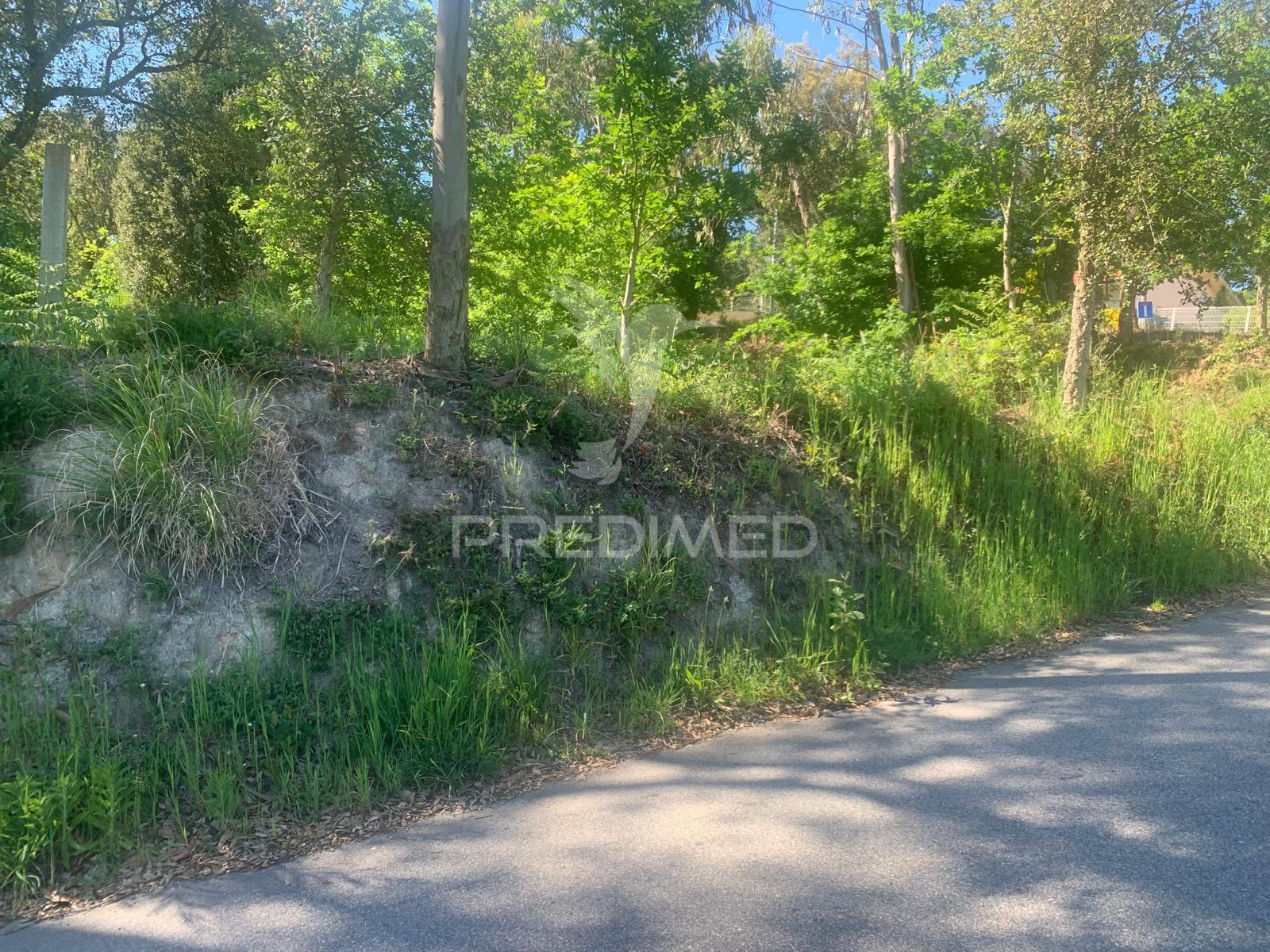 Terreno para venda no largo aguim, madalena