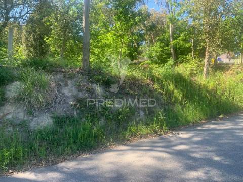 Terreno para venda no largo aguim, madalena