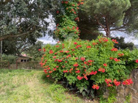 Moradia t3 com potencial de alojamento local, piscina e sustentabilidade  ​