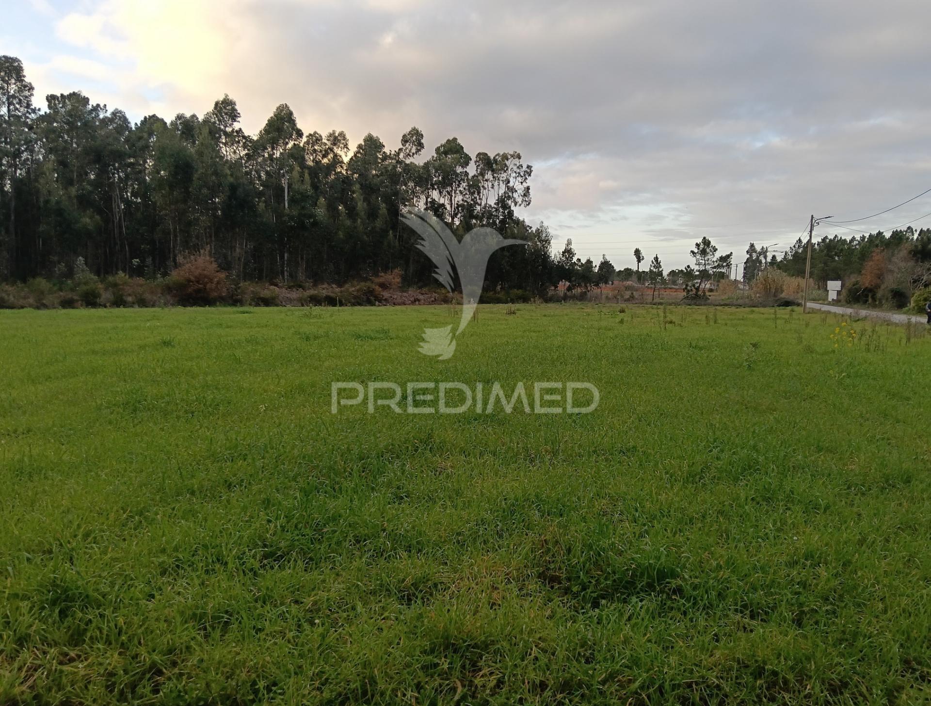 Terrenos à venda em santa catarina, vagos