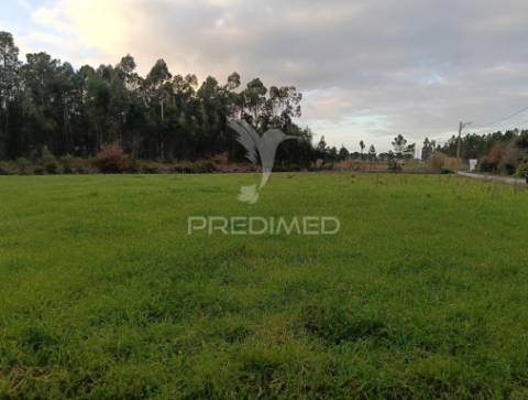 Terrenos à venda em santa catarina, vagos