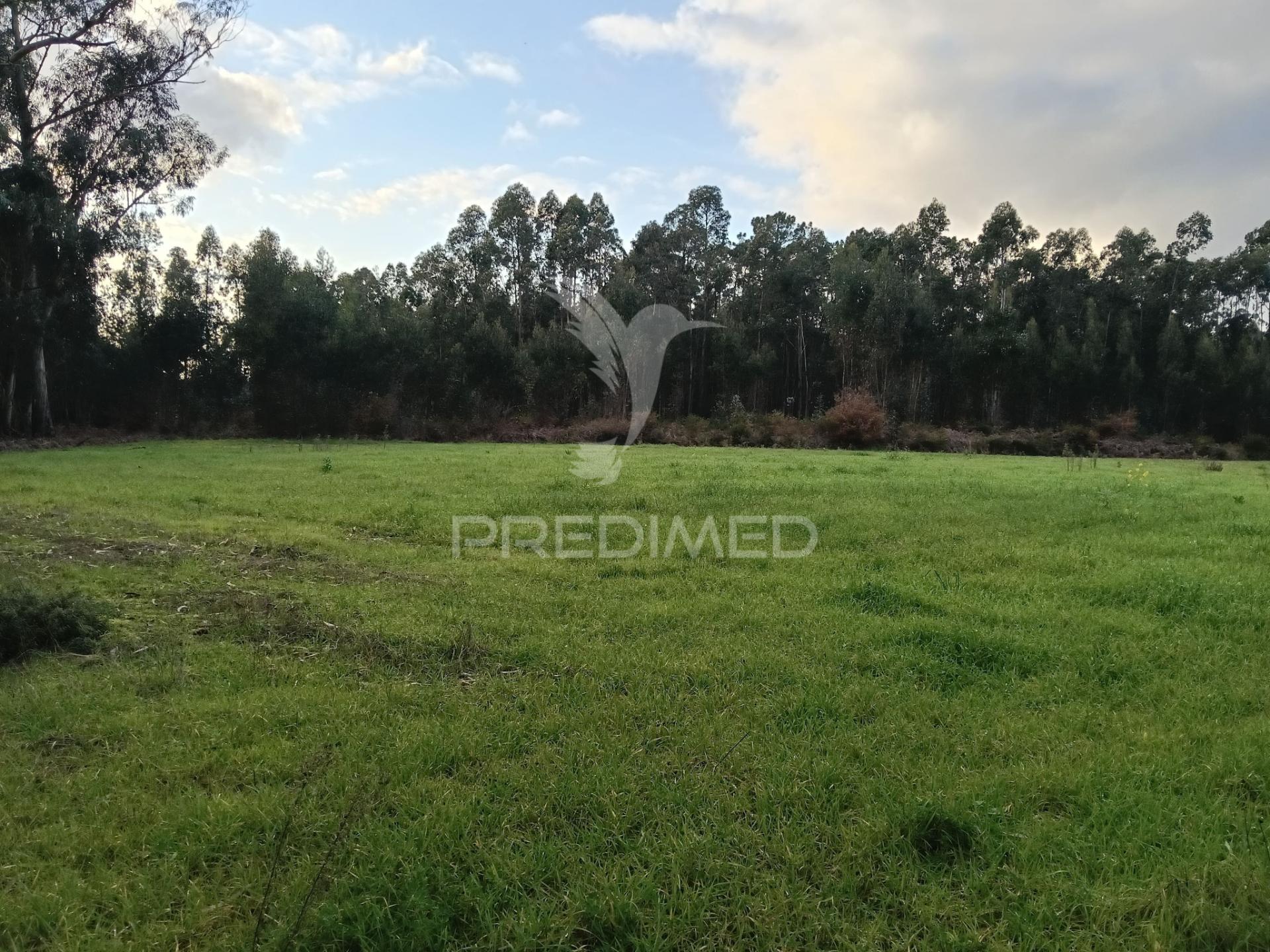 Terrenos à venda em santa catarina, vagos