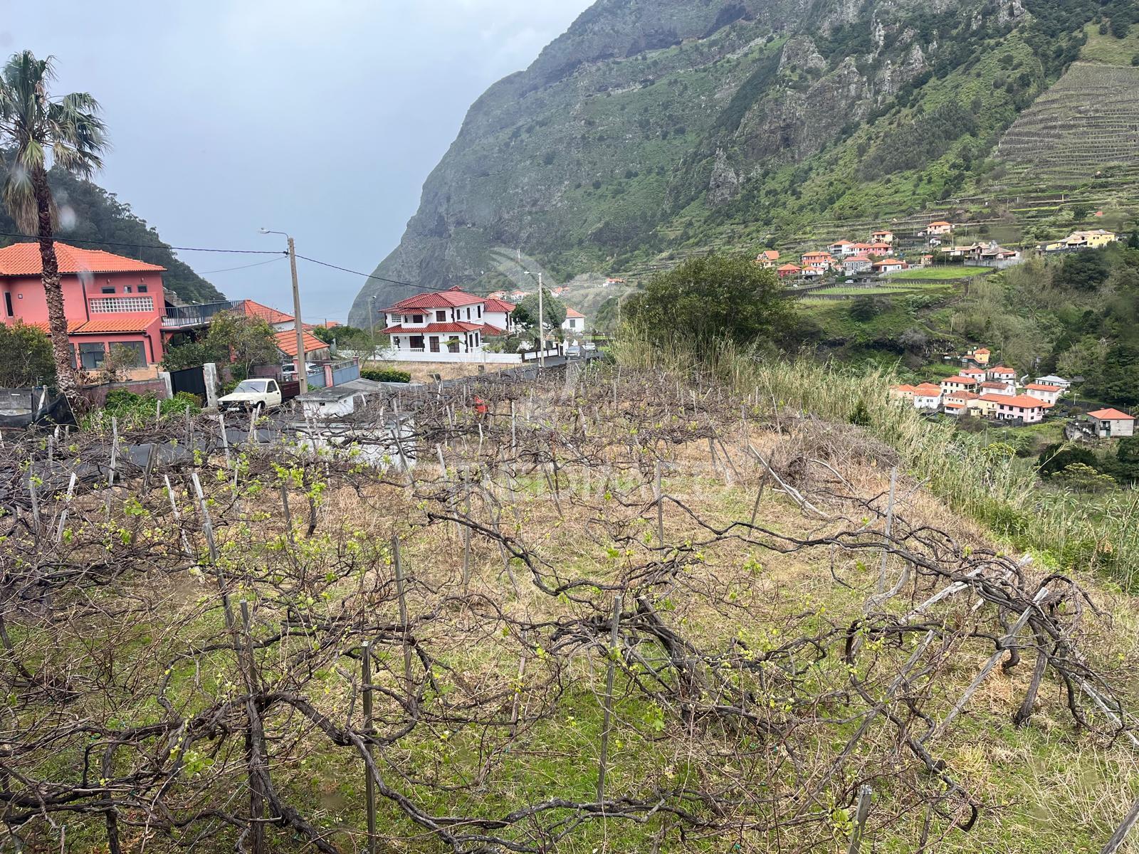Moradia t3 com 2.000m2 de terreno em s. vicente