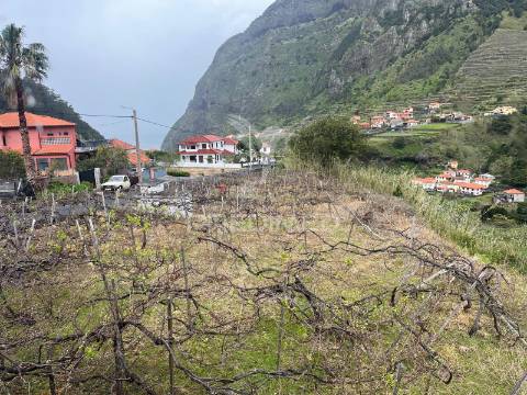 Moradia t3 com 2.000m2 de terreno em s. vicente