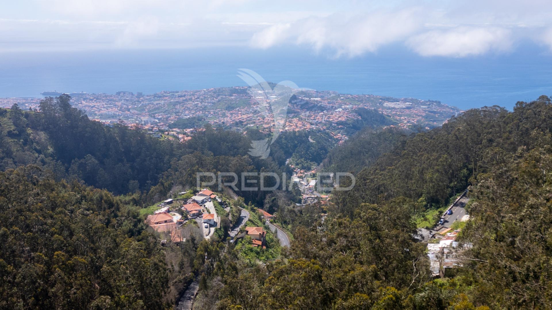 Terreno rústico numa zona verdejante com vista mar