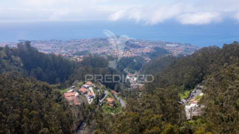 Terreno rústico numa zona verdejante com vista mar