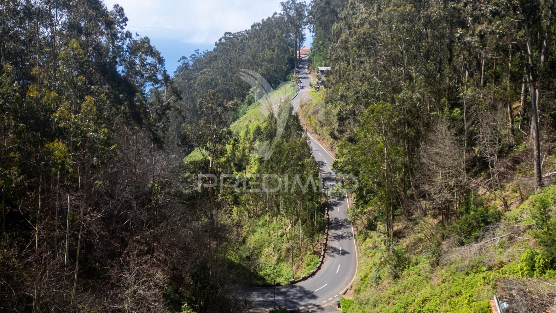 Terreno rústico numa zona verdejante com vista mar