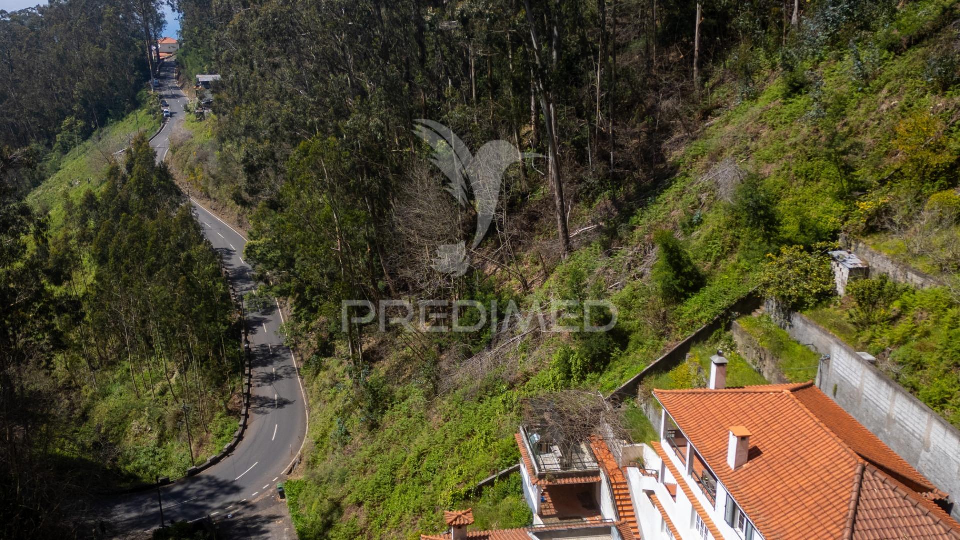 Terreno rústico numa zona verdejante com vista mar