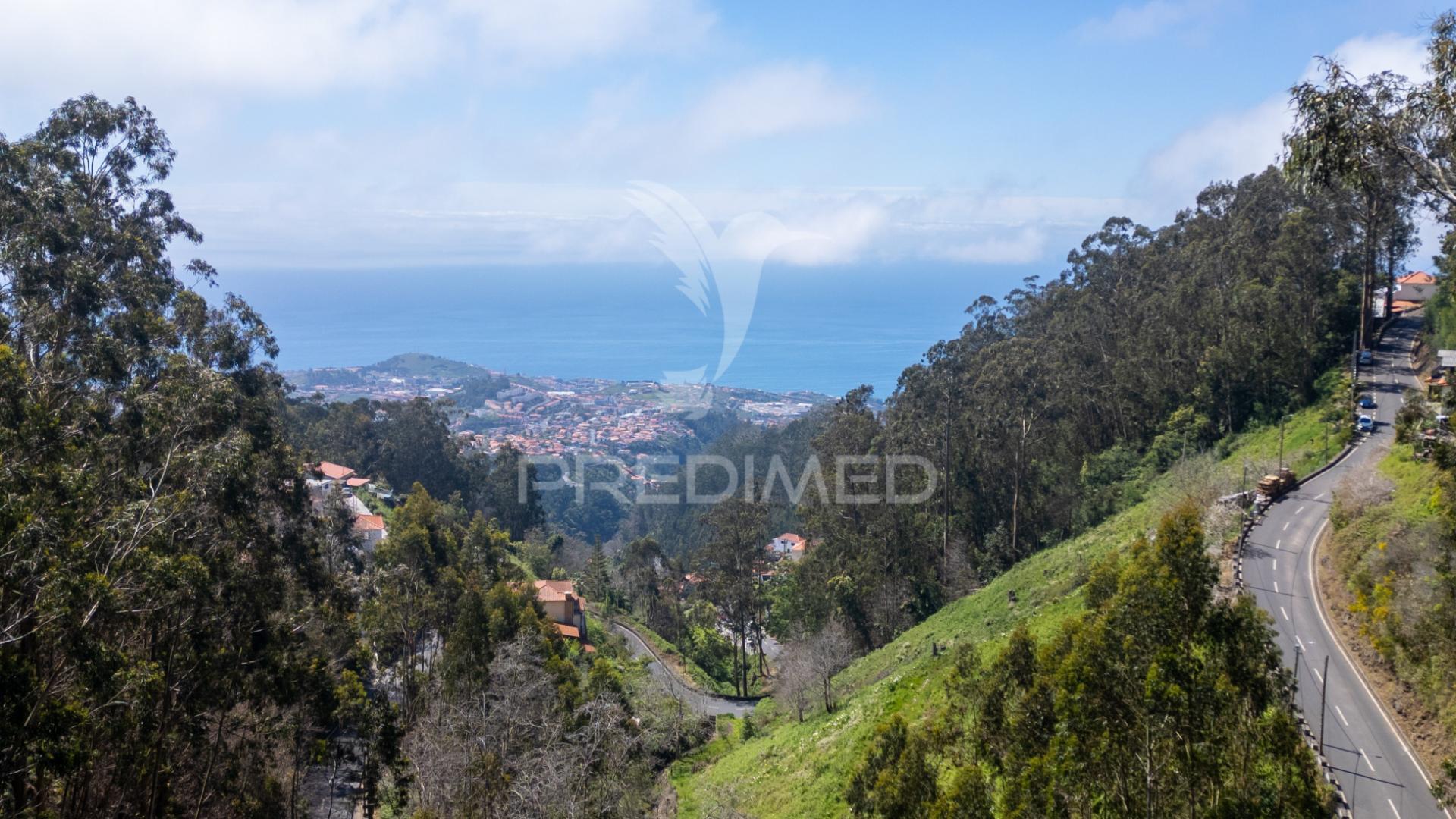 Terreno rústico numa zona verdejante com vista mar