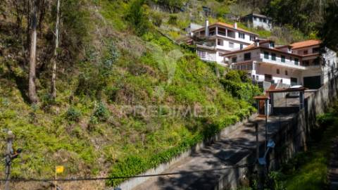 Terreno rústico numa zona verdejante com vista mar