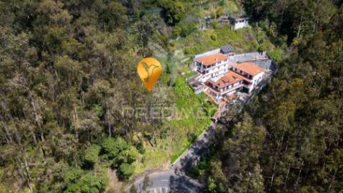 Terreno rústico numa zona verdejante com vista mar