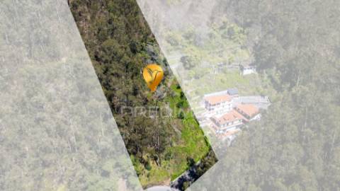 Terreno rústico numa zona verdejante com vista mar