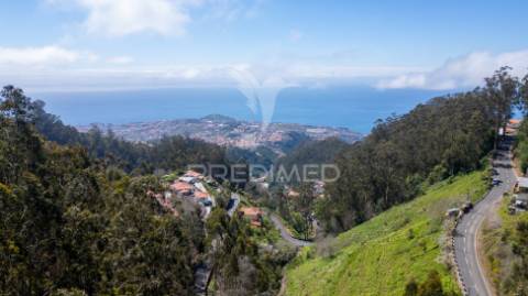 Terreno rústico numa zona verdejante com vista mar