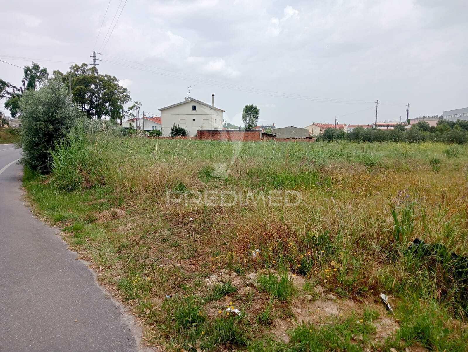 Terreno rústico, azoia - leiria
