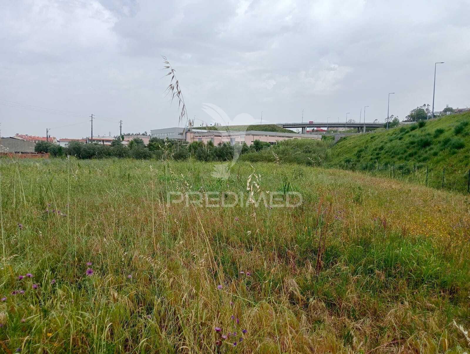 Terreno rústico, azoia - leiria