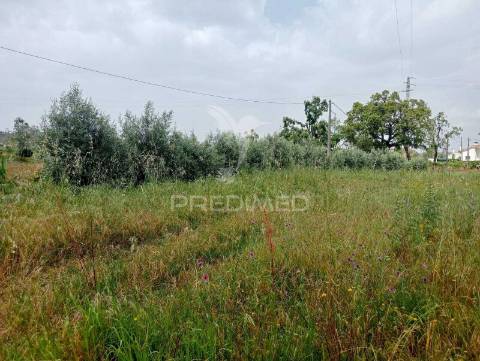 Terreno rústico, azoia - leiria
