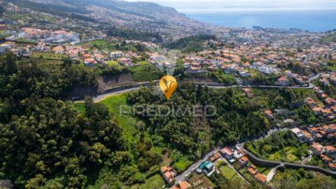 Terreno rustico  com duas frentes de estrada