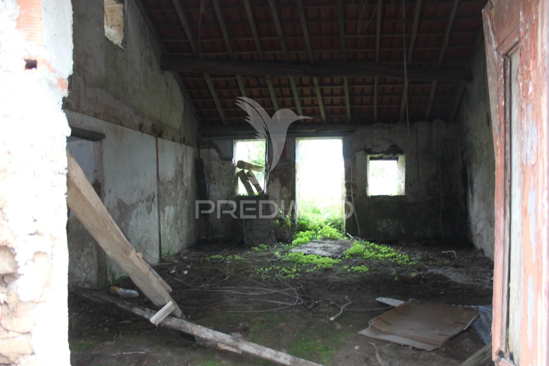 Excelente negócio 2 moradias e cinco mil metros urbanos