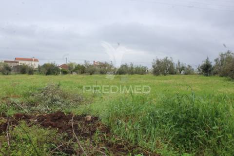 Excelente negócio 2 moradias e cinco mil metros urbanos