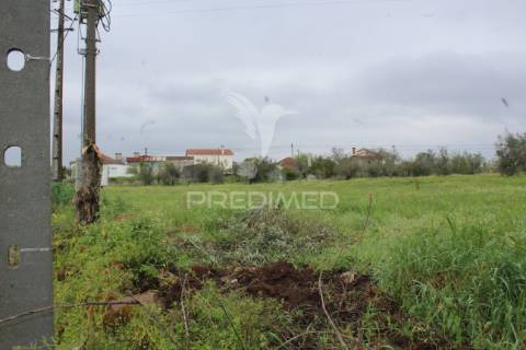 Excelente negócio 2 moradias e cinco mil metros urbanos