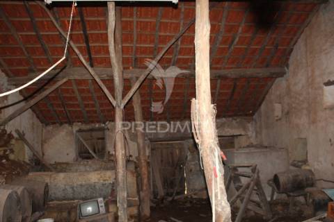 Excelente negócio 2 moradias e cinco mil metros urbanos