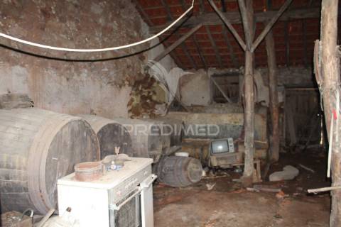 Excelente negócio 2 moradias e cinco mil metros urbanos