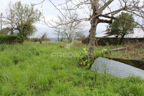 Excelente negócio 2 moradias e cinco mil metros urbanos