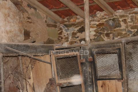 Excelente negócio 2 moradias e cinco mil metros urbanos