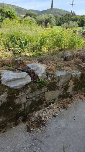 Arrendamento apartamento t2, moleanos