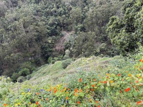 Terreno vista mar urbanizável com área 2850m2