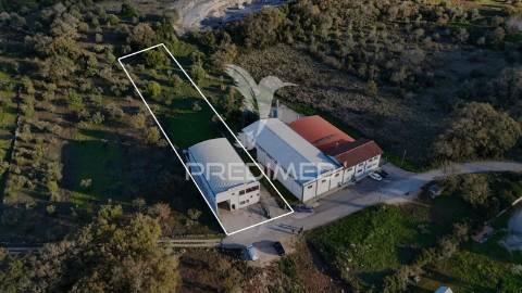 Pavilhão industrial com excelente localização e potencial de expansão