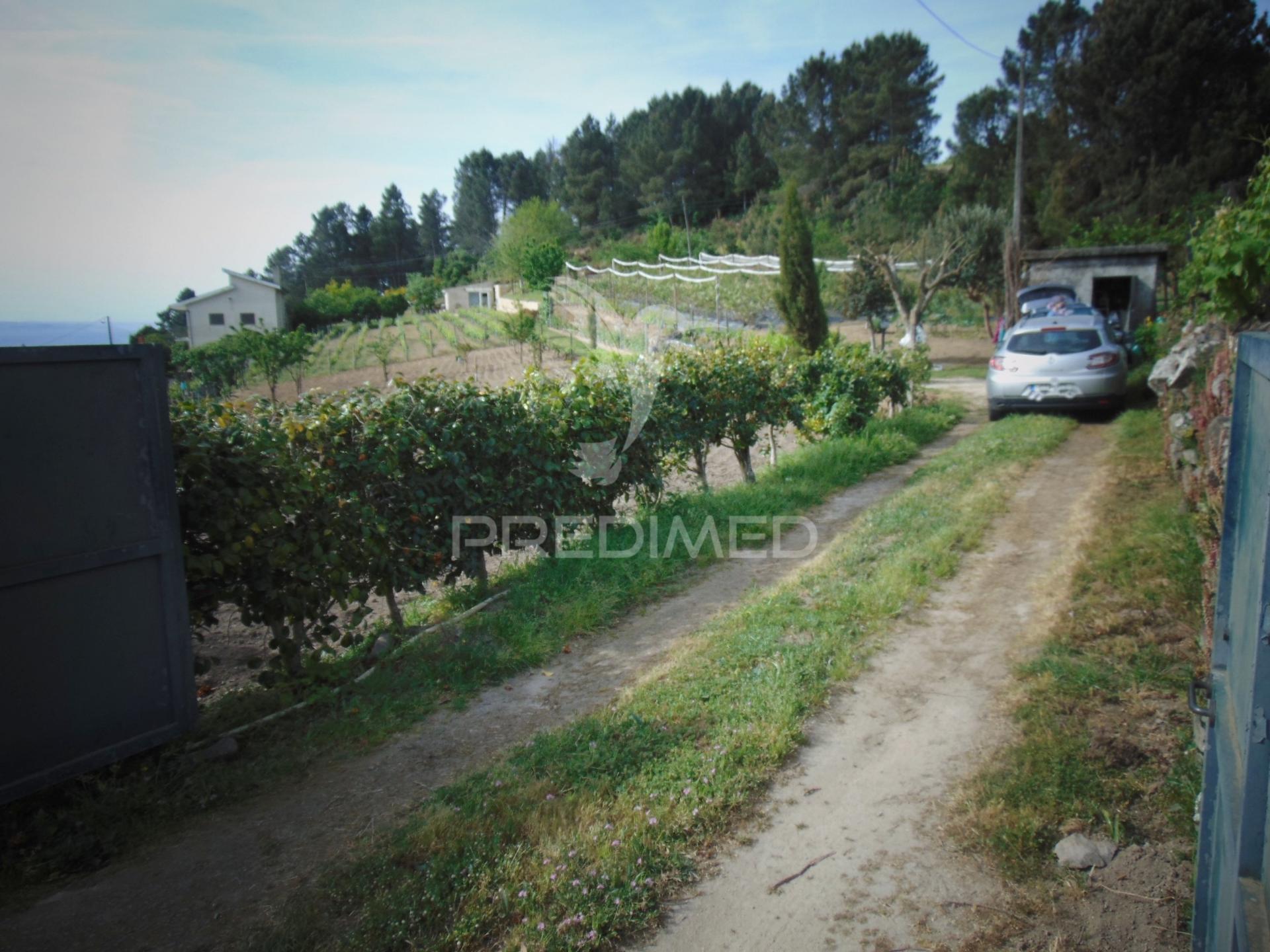 Terreno urbanizável em torgueda - vila real