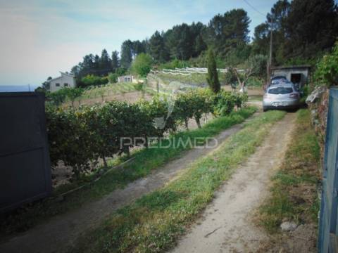 Terreno urbanizável em torgueda - vila real