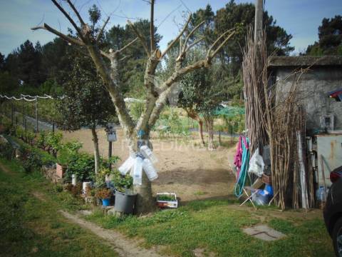Terreno urbanizável em torgueda - vila real