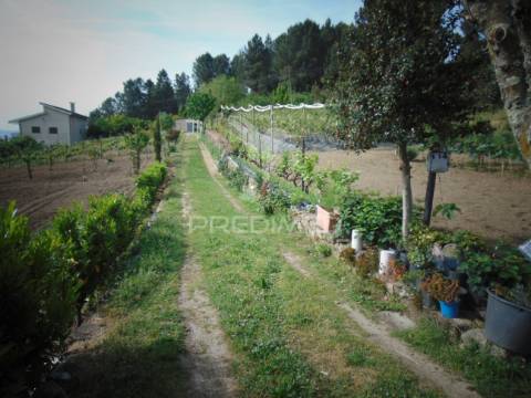 Terreno urbanizável em torgueda - vila real