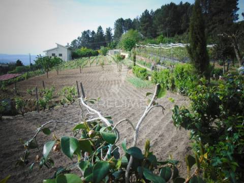 Terreno urbanizável em torgueda - vila real