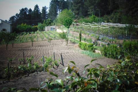 Terreno urbanizável em torgueda - vila real