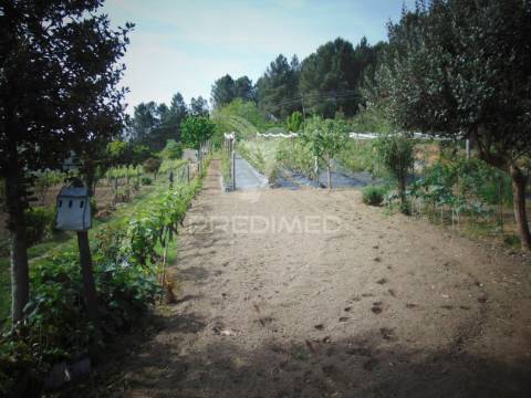 Terreno urbanizável em torgueda - vila real