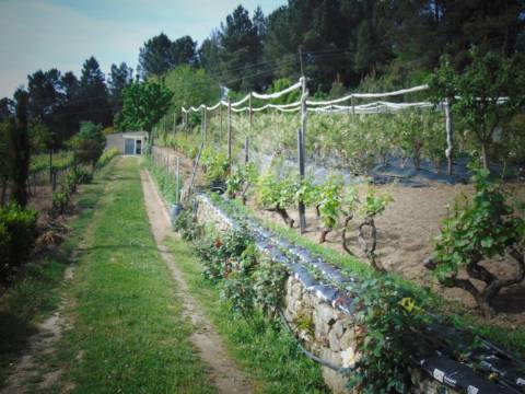 Terreno urbanizável em torgueda - vila real
