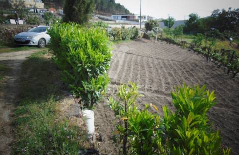 Terreno urbanizável em torgueda - vila real