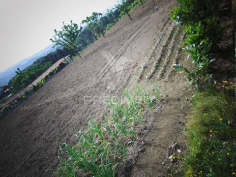 Terreno urbanizável em torgueda - vila real