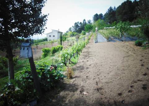 Terreno urbanizável em torgueda - vila real
