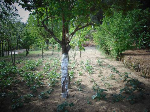 Terreno urbanizável em torgueda - vila real