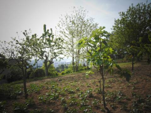 Terreno urbanizável em torgueda - vila real