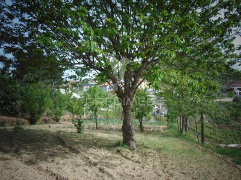 Terreno urbanizável em torgueda - vila real