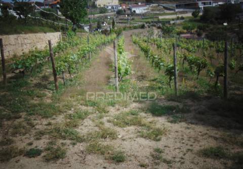 Terreno urbanizável em torgueda - vila real